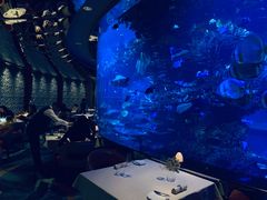 -迪拜帆船酒店海底餐厅