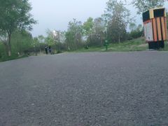 -东郊湿地公园