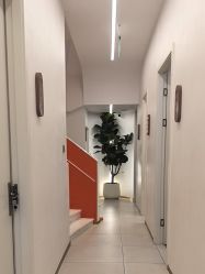 点击看大图 -WENDY·温迪皮肤管理