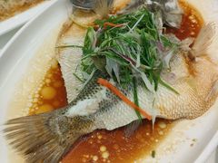 -至潮餐厅精致粤菜·活鲈鱼·走地鸡(珠江新城店)