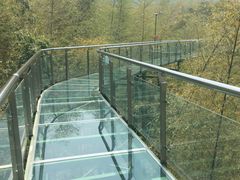 -陶祖圣境风景区