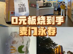-麦当劳(浦江镇绿地乐和城店)