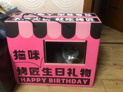 -烤匠麻辣烤鱼(双流明城购物中心店)