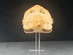 -天津自然博物馆