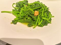 -三利音·浦之舟(滨江大道店)