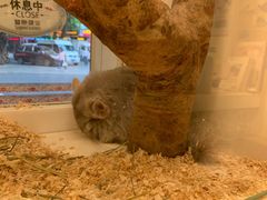 -龙猫仔乐园(惠福东路店)