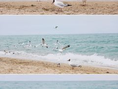 -青海湖二郎剑景区