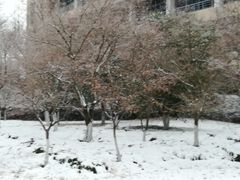 -苏州卫生职业技术学院(石湖校区)