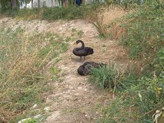 -天津东丽湖风景区