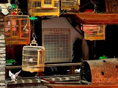 -陈麻婆豆腐(旗舰店)