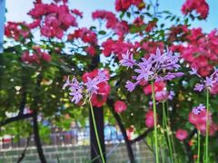 -永乐路-路侧停车场