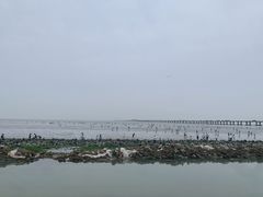 -南汇新城海滩