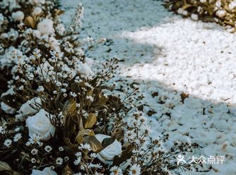 婚礼分享｜海岛草坪婚礼～结婚流程攻略