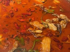 -渝蛙馆(新百店)