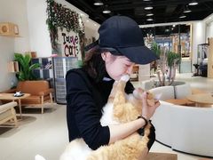 大堂-藏猫猫咖啡主题馆(中央大道店)