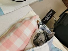 -美联众合24小时·皮肤科·外科·全科诊疗中心(华苑分院)