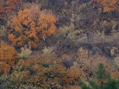 -北京西山国家森林公园