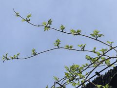-南京市民俗博物馆(甘熙故居)