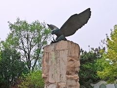 -北京鹫峰国家森林公园