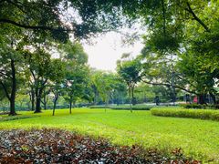 -云溪植物园