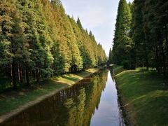 -黄海国家森林公园