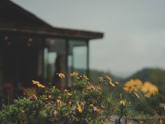 -远山有窑