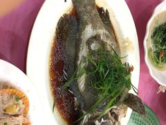 -湛江渔港·大排档(乐园路总店)