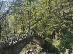 -牛背梁国家森林公园