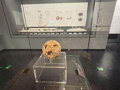 -广西壮族自治区博物馆