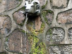 -杭州半山国家森林公园