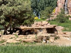 -北京野生动物园