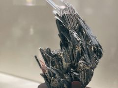 -甘肃地质博物馆