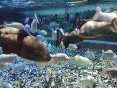 -成都浩海立方海洋公园