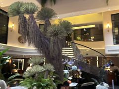 -大逸传奇·足道SPA(天美店)