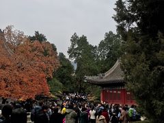 -香山公园-东宫门售票处