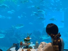 -海棠湾洲际-涛·海底餐厅·美人鱼·自助餐·海底隧道