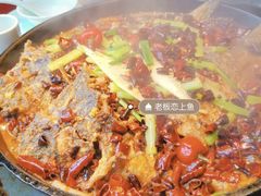 -老板恋上鱼(恒隆广场店)