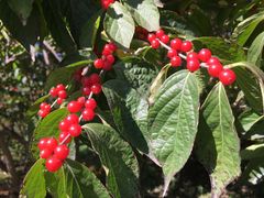 -长春公园(普阳街道)