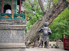 -晋祠公园