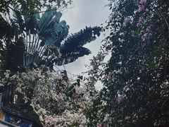 -深圳国际园林花卉博览园