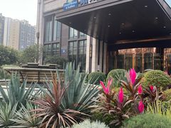 -四川江油戴斯大酒店