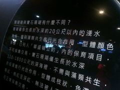 -台北101
