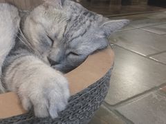-隅cafe(傅厚岗店)
