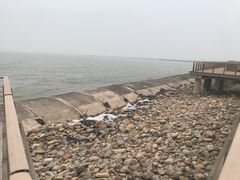 -东疆建设开发纪念公园