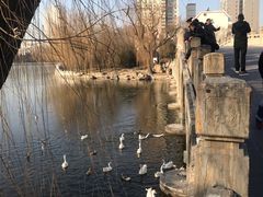 -迎泽公园