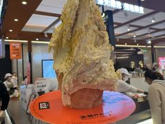 -野人先生Gelato(上海长宁龙之梦店)