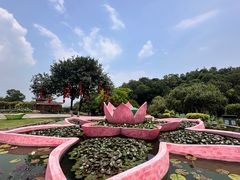 -广州莲花山旅游区