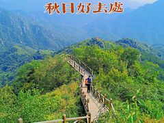-大岭沟猕猴桃谷风景区