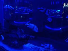 -上和臻品中国菜(花园街店)