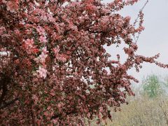 -蓝地时尚庄园(北京清河营地铁站店)